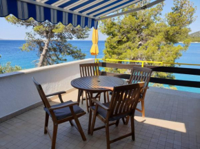 Apartman David